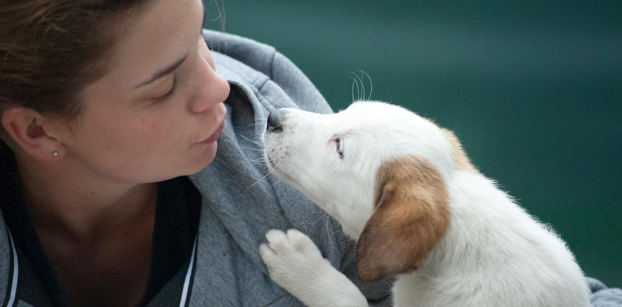 Día Mundial del Perro: por qué se celebra cada 21 de julio y qué busca concientizar esta fecha