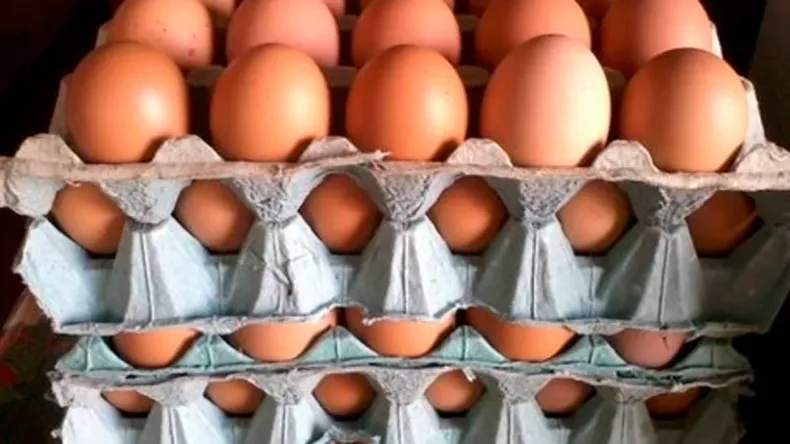 Argentina registró un consumo histórico de 380 huevos per cápita en 6 meses