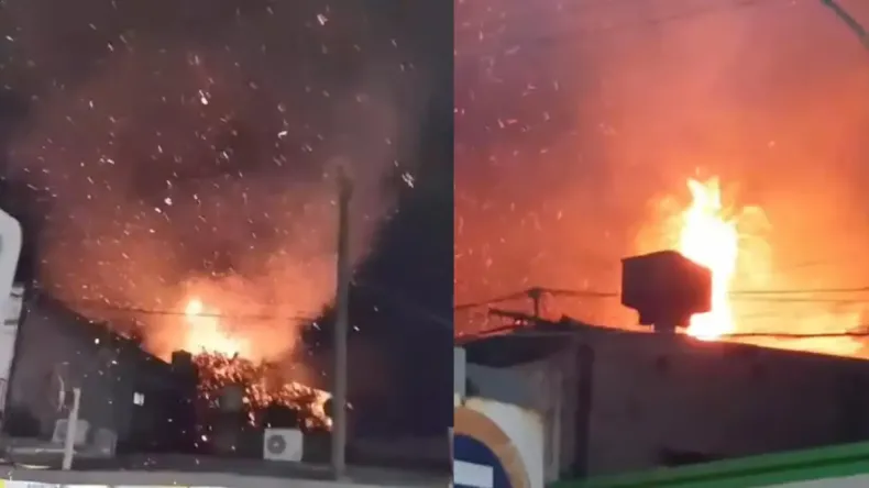 Susto en Corrientes: una palmera ardió tras la caída de un rayo