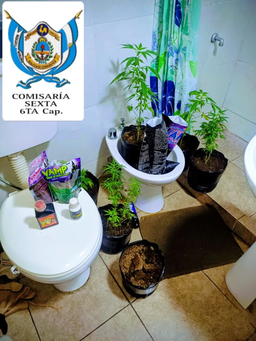 Corrientes: allanamiento por amenazas terminó con un detenido y hallazgo de marihuana