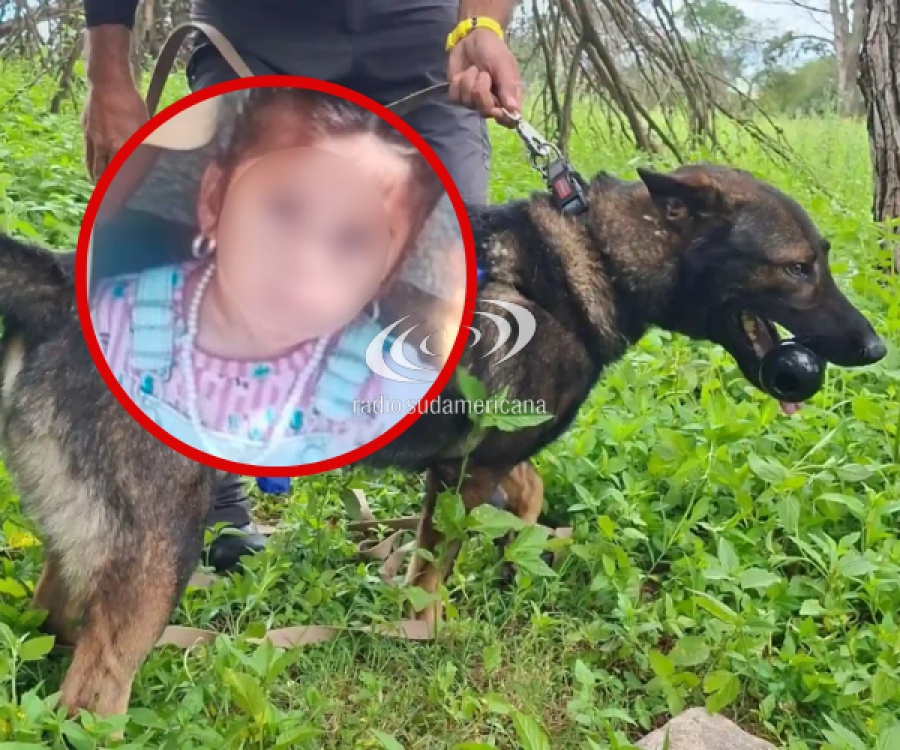 CÓMO ACTUÓ “SHAMAL”, EL PERRO QUE ENCONTRÓ A ESMERALDA EN LA FALDA